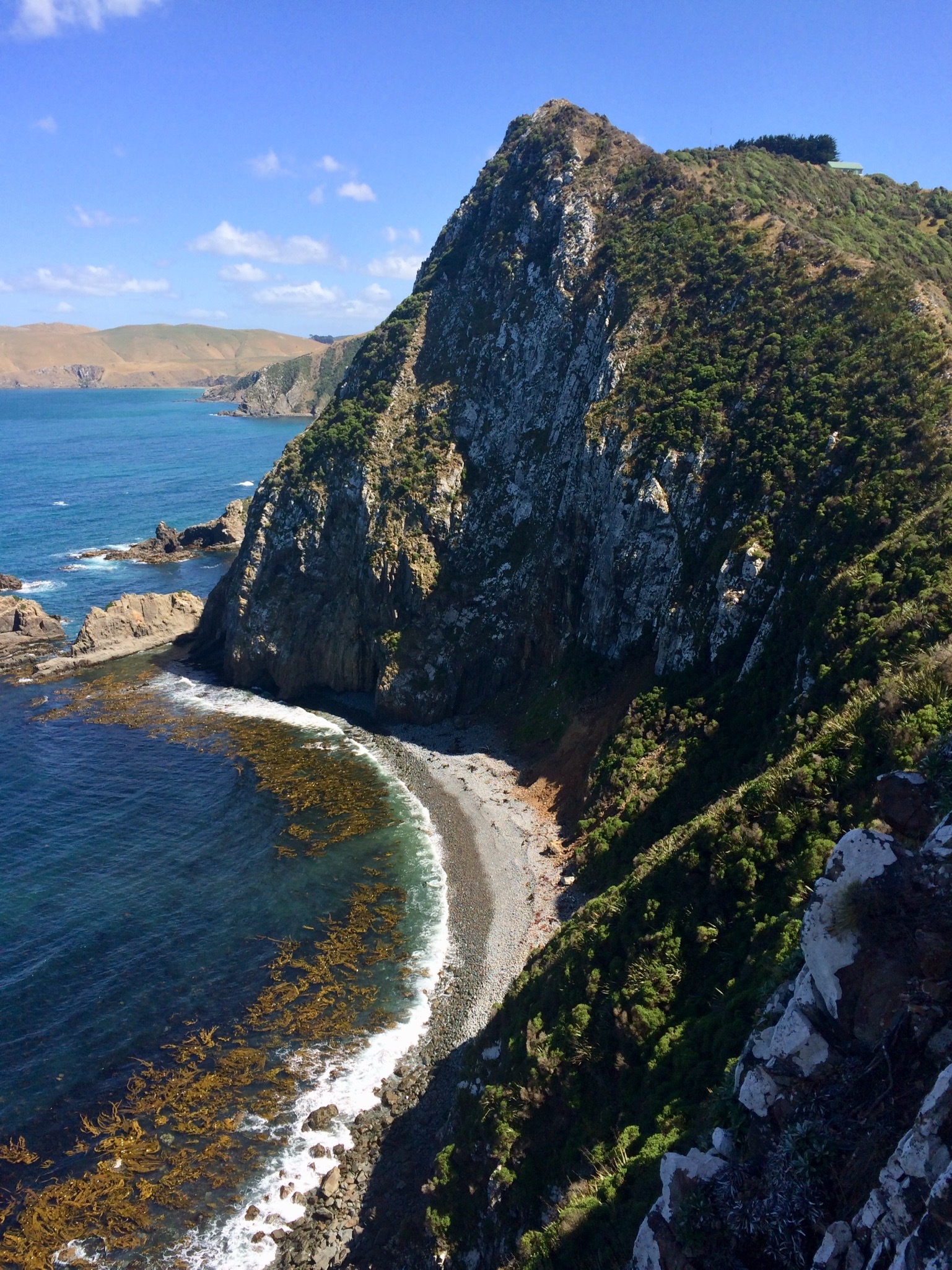 ⁨Nugget Point Cliff View